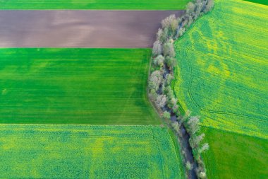 Tarımsal alanların arasında bir nehir, doğrudan insansız hava aracı görüşünün üstünde.