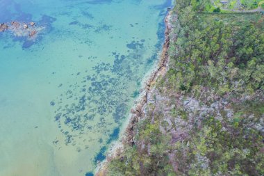 Temiz turkuaz su ve kayalarla güzel bir kıyı şeridi manzarası.