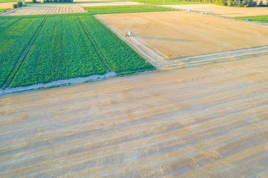 Yukarıdan bakıldığında ekinlerin çeşitliliğini ve ortaya çıkan renk ve doku mozaiğini vurgulayan ekili tarlaların manzarası.