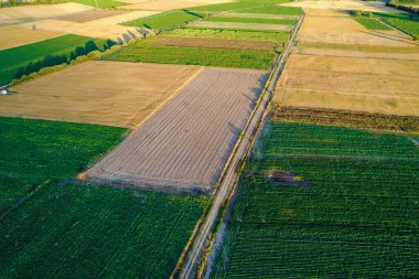 Renkli tarım arazileri, tarımsal konsept arka planı ve çoklu hava perspektifli kırsal bir arazinin hava manzarası.