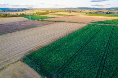çoklu tarlaları ve tarımsal kavram geçmişi olan kırsal bir arazinin doğal hava aracı görüntüsü