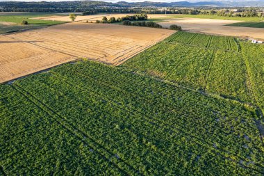 Tarımsal ve tarımsal drone bakış açıları yukarıdan tarımsal manzara, geometrik kalıplar ve ekilmiş alanlar arasındaki sınırlar