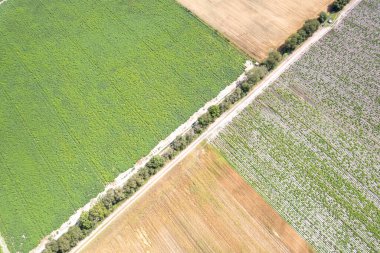İHA 'lar tarlaların, patateslerin ve tahıl mahsullerinin yama görüntülerini yukarıdan aşağıya doğru tararlar. Çeşitli tarım arazileri ve bir yolu olan hava manzarası
