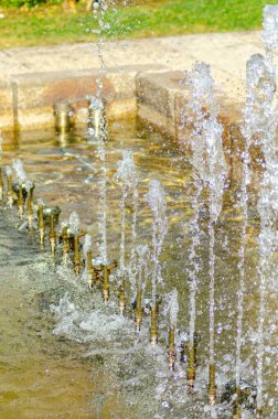 Bir halk parkındaki çeşmenin ayrıntıları Portekizce 'deki çeşmenin adı Chafariz' dir.