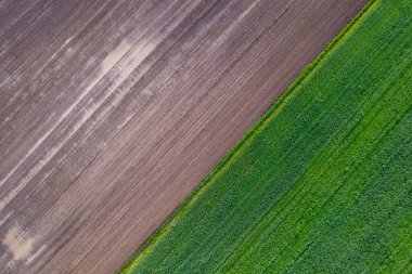 Güçlü çapraz çizgileri olan tarımsal alanların yukarıdan görünüşü, iki çiftlik alanı arasındaki keskin çapraz çizgilerin drone görüntüsü