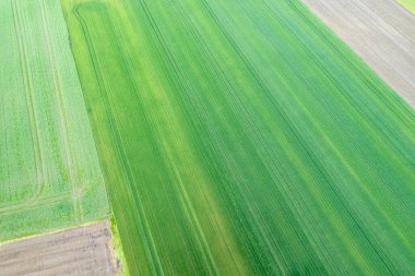 İlkbaharda sebze ve tahıl tarlaları, insansız hava aracı ile hava manzarası