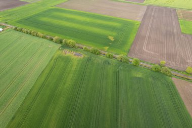 İlkbaharda tarım alanlarının hava aracı görüntüsü, tarım kavramı için arka plan