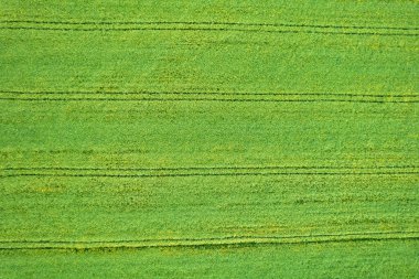 İlkbaharda tarım alanlarının insansız hava aracı görüntüsü, tarım kavramı için dokulu arka plan