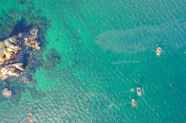 Zenital hava aracı kıyıya yakın turkuaz sularda balıkçılık yapan balıkçı teknelerini görüyor. Geleneksel Deniz Balıkçılığı Konsepti