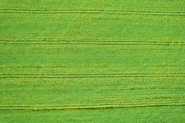 İlkbaharda tarım alanlarının insansız hava aracı görüntüsü, tarım kavramı için dokulu arka plan