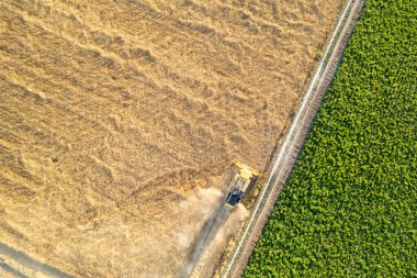 Tarım ve tarım alanlarının en alt kısımlarında. yukarıdan tarımsal manzara, geometrik desenler ve ekilmiş alanlar arasındaki sınırlar