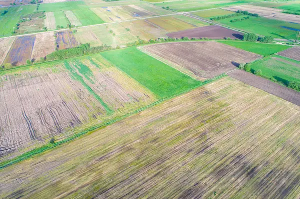 Tarım alanlarının dokuları ve kırpma şekilleri, tarımsal arka plan konsepti