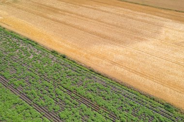Çeşitli ekinler ve sabanla sürülmüş toprak örnekleri, kırsal bölgelere insansız hava aracı bakışları. Tarım arka plan konsepti manzarası