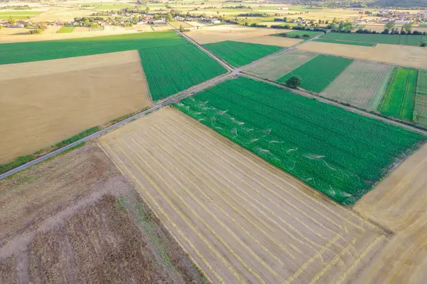 Çeşitli ekinler ve sürülmüş toprak desenleri, patates ve mısır gevreği. Taşra manzaralı drone. Tarım arka plan konsepti manzarası