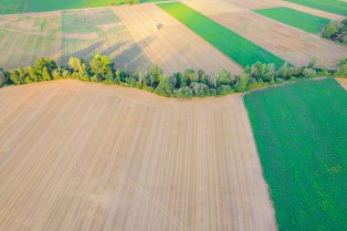 Çeşitli mısır gevrekleri ve patates ekinleri ve sürülmüş toprak desenleri, kırsal alan görüşü. Tarımsal arka plan manzarası