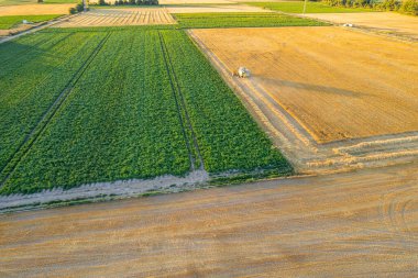 Yaz mevsiminde çiftçilik ve tarım geçmişi kavramından tarımsal örüntüler