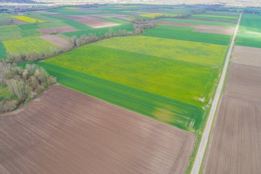 Tarım kalıpları: çeşitli ekinlerin dokularını gösteren yukarıdan aşağıya bir görünüm