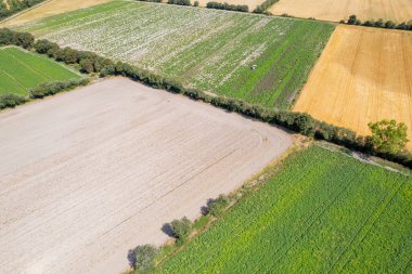 İnsansız hava aracından gelen tarımsal alanların çizgileri ve dokuları, tarım geçmişi kavramı