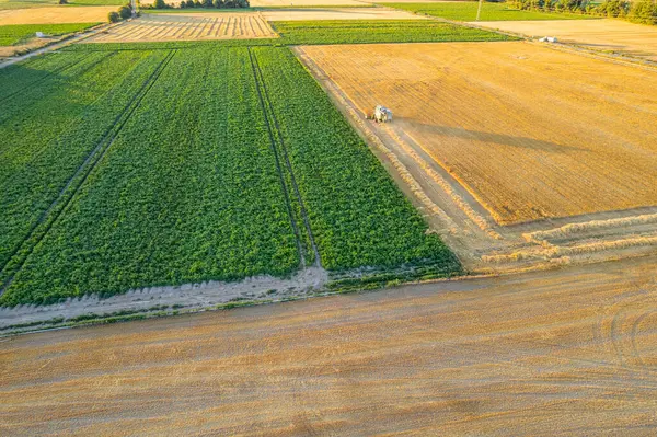 Yaz mevsiminde çiftçilik ve tarım geçmişi kavramından tarımsal örüntüler
