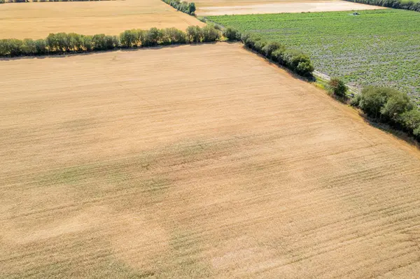 Ekinleri ve yemyeşil alanları hasat etmeye hazır, tarım geçmişi kavramına sahip geniş tarım manzarası.