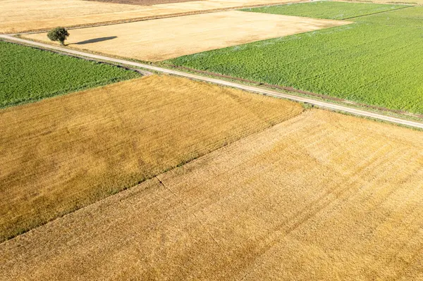 İlkbahar tarım alanlarının hava yaması, tarım geçmişi kavramı