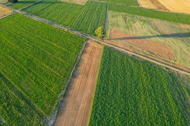 İnsansız hava aracı görüşü ekili arazi ve mahsul çeşitliliği, tarımsal arka plan kavramı