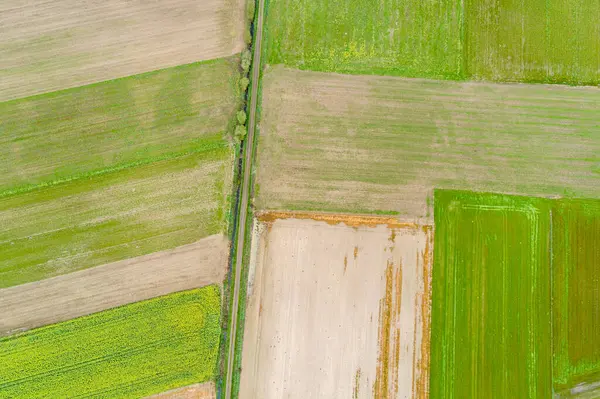 havadan aşağıya insansız hava aracı görüntüsü ekilmiş arazi ve mahsul çeşitliliği, tarımsal arka plan kavramı