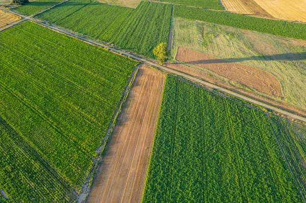 İnsansız hava aracı görüşü ekili arazi ve mahsul çeşitliliği, tarımsal arka plan kavramı