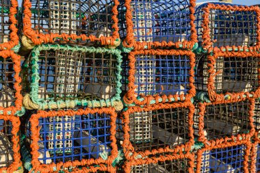 Yığınla Mavi ve Turuncu Balık Tuzağı