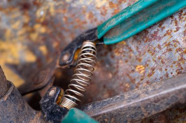 Paslı Tool secateur 'da Metal Yayının Macro Çekimi