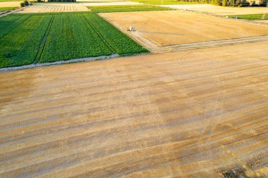 Kırsal bölgedeki Çatışan Alanlar 'ın Patchwork' ü. Kavram: Kırsal arazinin çeşitliliği.