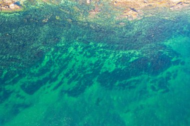 Rocky Sahili ve Yeşil Deniz 'in havadan görünüşü. Kavram Doğanın vahşi ve vahşi güzelliği.
