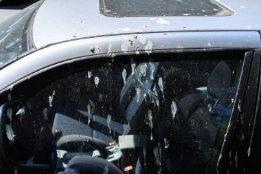 Sayısız kuş dışkısıyla lekelenmiş bir araç. Rastgele ve dağınık bir olayı kavra.