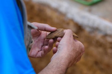 Bir arkeologun elleri antik bir çömlek şeridini dikkatle inceliyor..