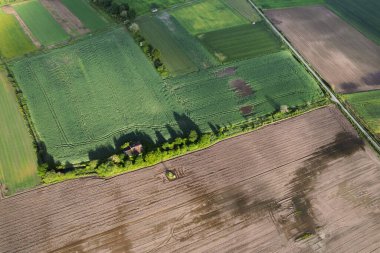 Farklı Tarım Alanlarını Ayıran Ağaçlar Çizgisi. Doğanın çiftçilikteki rolünü kabul et..
