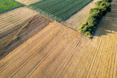 Yukarıdan Aşağı Bakış 'tan Soyut Çiftlik Modeli. Toprak geometrisi kavramı.