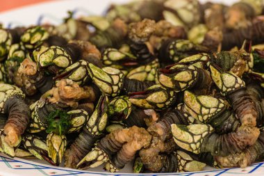 Galiçya, İspanya 'dan pahalı ve nadir bulunan ürünler. Lüks yemek deneyimi..