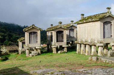 Galiçya ve Portekiz espigueiros horreos 'unun eşsiz mimarisi, tarım tarihi konsepti.