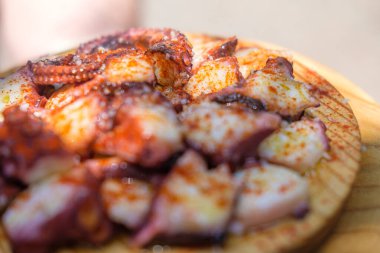 Bulanık bir geçmişi olan bir Pulpo tabağı. Konsept Mükemmel bir yemeğe odaklanmaktır.