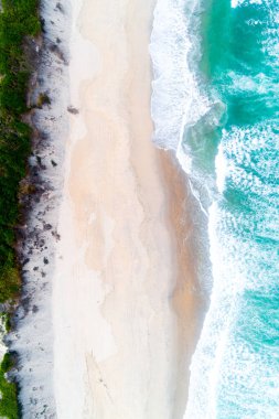 Kum dalgaları ve yeşil bitki örtüsünün doğanın sınırlarını çizdiği el değmemiş bir kumsal manzarası.