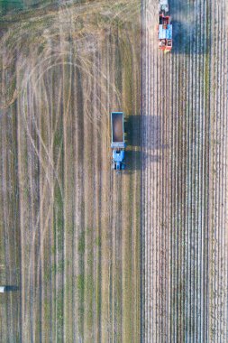 Bir hasattan patates toplayan römorklu mavi bir traktör. Modern Tarım Endüstrisi