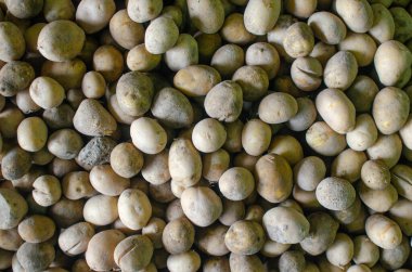 Büyük bir organik, yıkanmamış patates yığınının doğal dokusu. Doğal Gıda dokusu