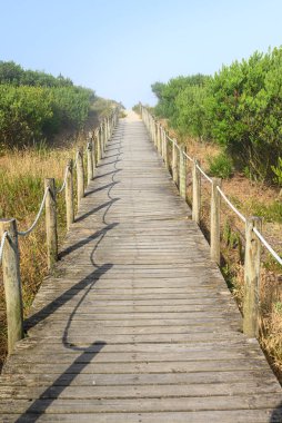 Suyun üzerinden kumlu bir sahile, kumullara yolculuk ve keşif konseptine uzanan güzel bir tahta kaldırım.