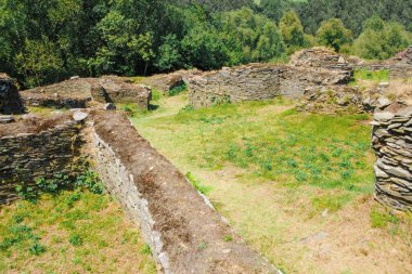 Kırmızı, sarı ve yeşil ağaçlı bir ormanın canlı sonbahar renkleri. Canlı bir Sonbahar Rengi
