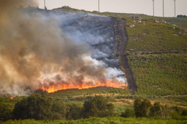 Bir Tepedeki Yangın Yangınına Karşı Bir Vahşi Ateş. İtfaiyeciliğin stratejisi.