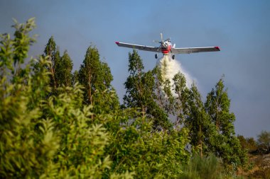 Orman yangını üzerine su düşüren bir itfaiye uçağı. Hava itfaiyesi tepkisini algıla.