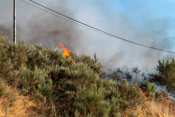 Лесной пожар с пламенем возле линии электропередач. Концепция Повышенная опасность для инфраструктуры.
