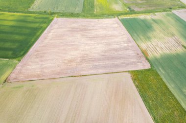 Farklı Ekinlerle Kırsal Arazinin Drone Çekimi. Modern çiftçiliğin çeşitliliği kavramı.