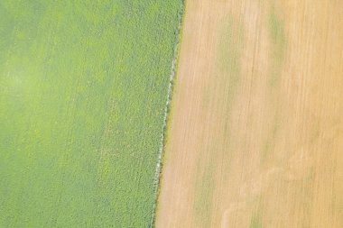 İki Tarım Alanının İHA Çekimi. Kırsal kesimin yamasını kavra.