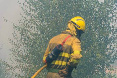 Dumanla çevrili bir ormanda çalışan bir itfaiyeci. Seçici bir odak noktası.